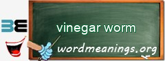 WordMeaning blackboard for vinegar worm